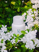 Sacha Inchi Oil Plus